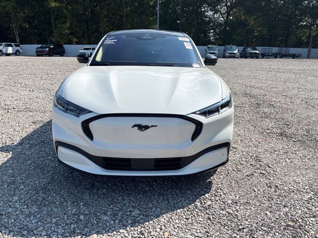 Used 2023 White Ford Premium image 2