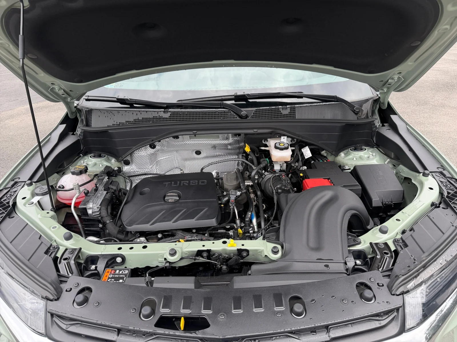 New 2026 Cacti Green Chevrolet LS image 20