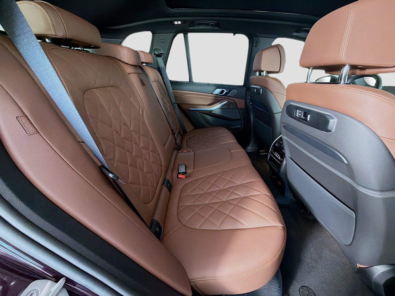 New 2026 Mora Metallic BMW xDrive50e image 29