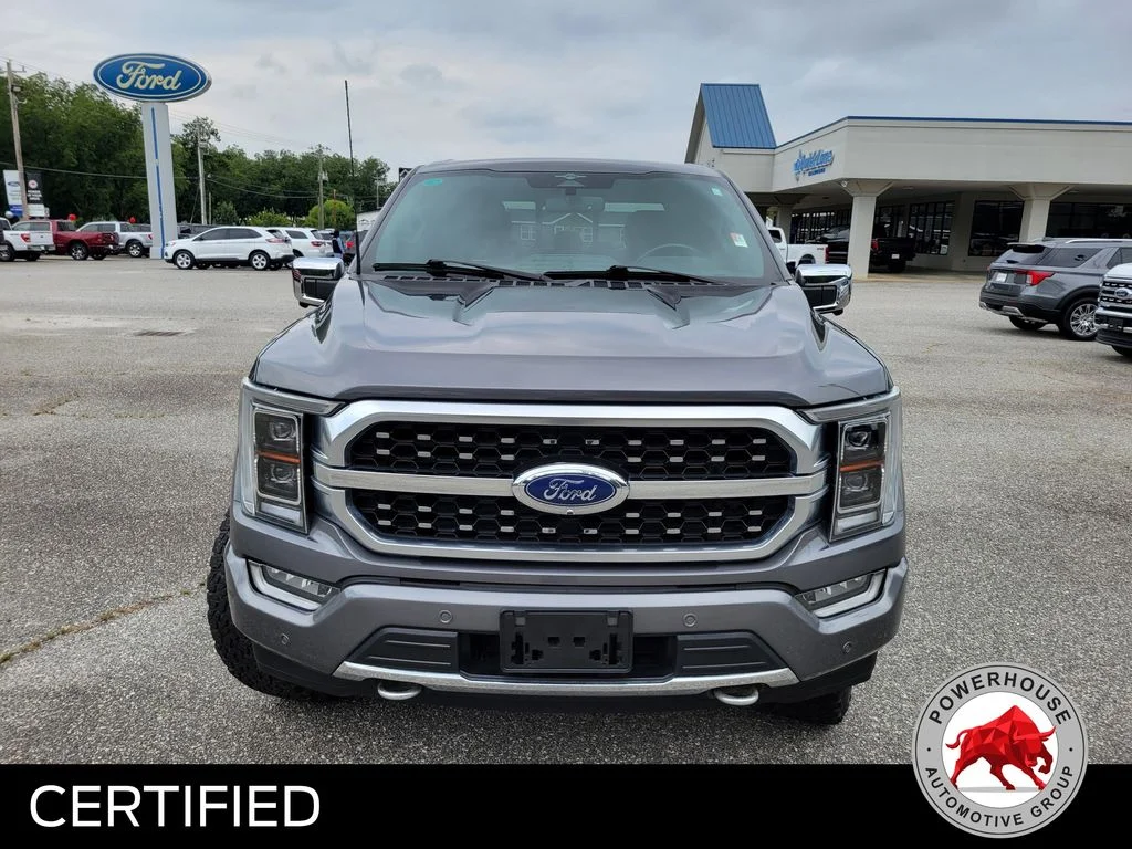 Used 2023 Gray Ford Platinum image 10