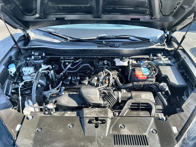 Used 2025  Honda LX image 19