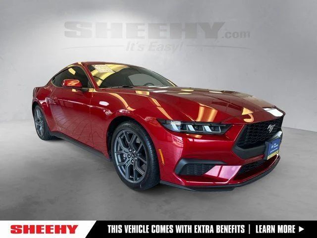 2024 Ford Mustang EcoBoost Fastback's photo