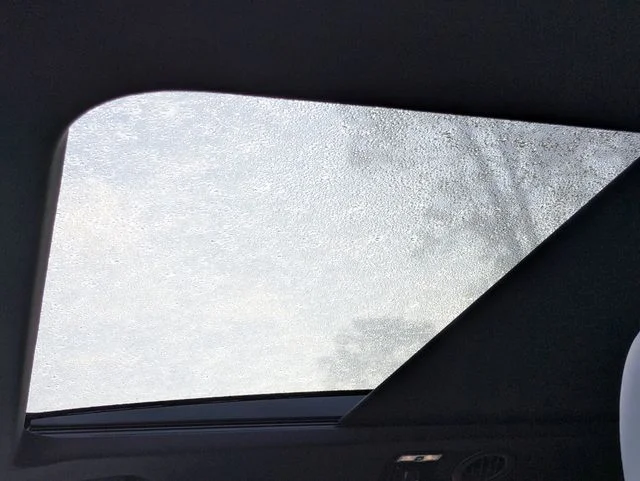 New 2026 Agate Black Metallic Ford ST image 19