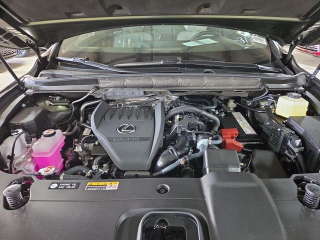 New 2026 Nori Green Pearl Lexus PREMIUM PLUS image 26