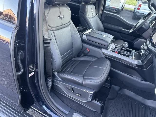 New 2026 Blue Ford Platinum image 33