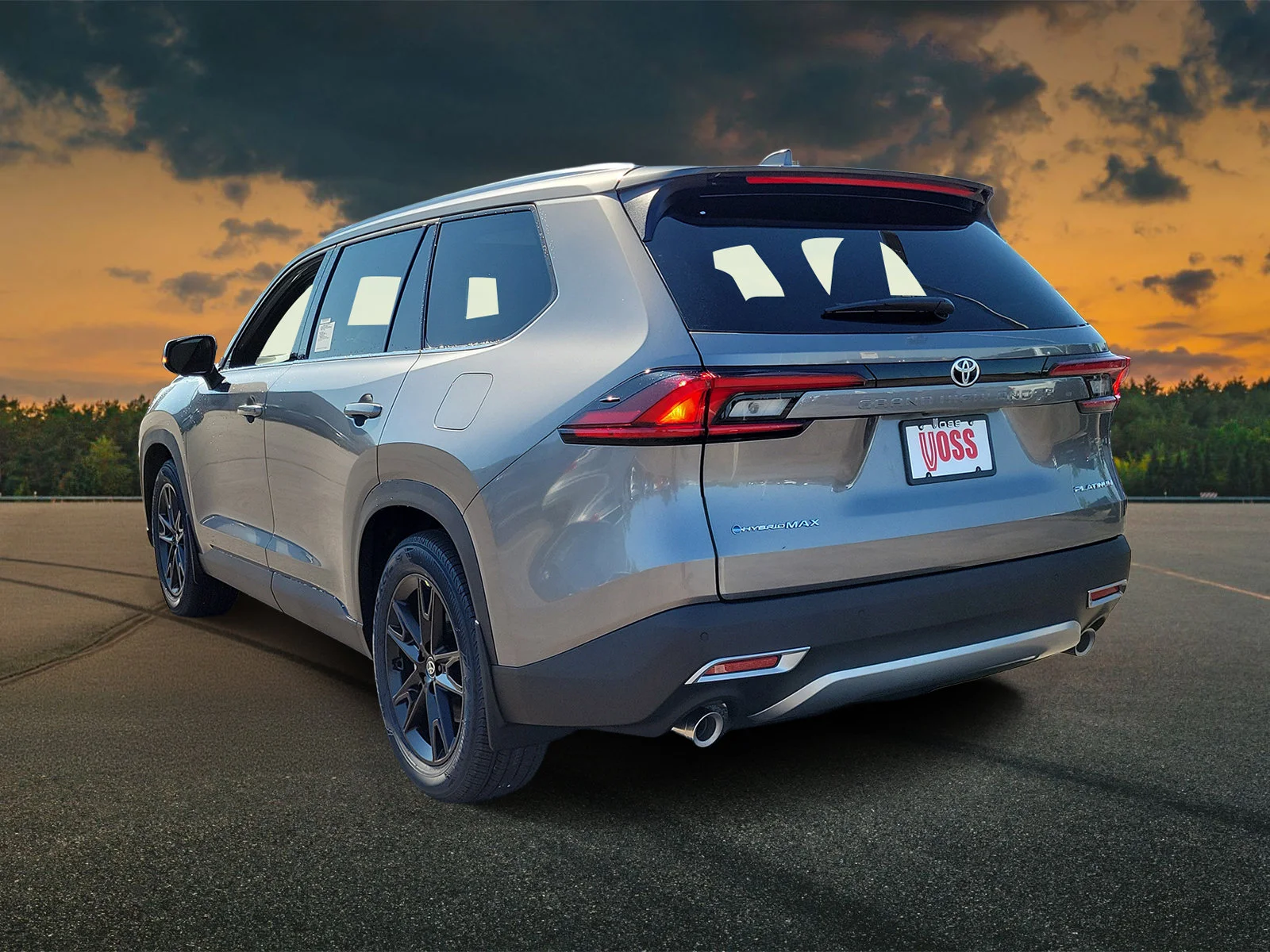 New 2026 Heavy Metal Toyota MAX Platinum image 3