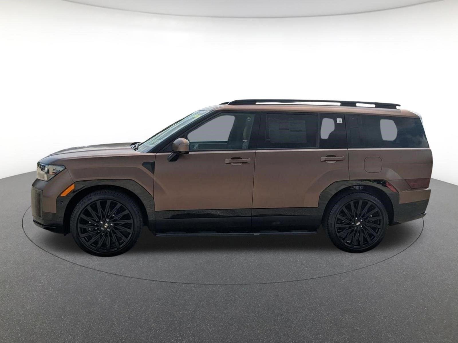 New 2026 Earthy Brass Matte Hyundai Calligraphy image 7