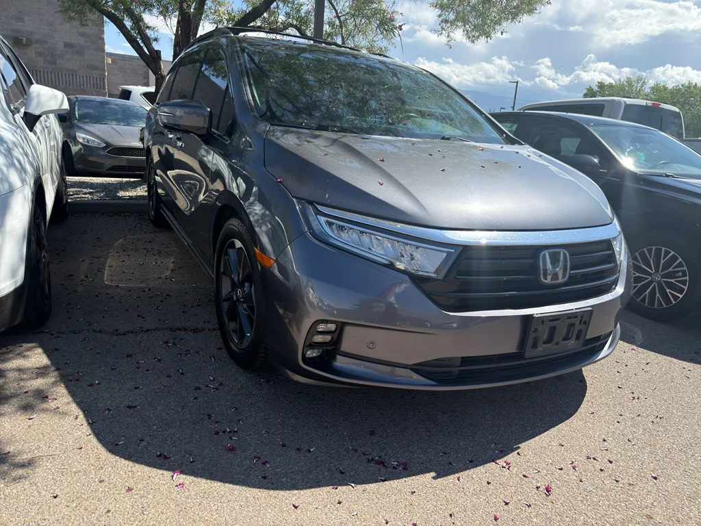 Used 2023 Modern Steel Metallic Honda Elite image 3