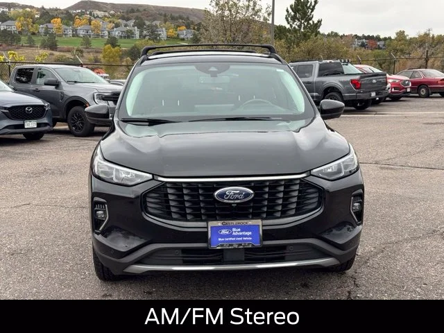 Used 2023 Black Ford Platinum image 9
