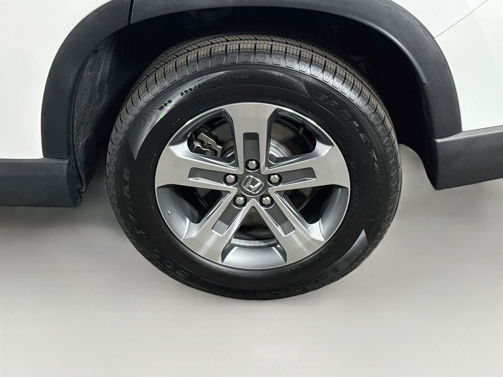 Used 2024 Platinum White Pearl Honda EX-L image 9