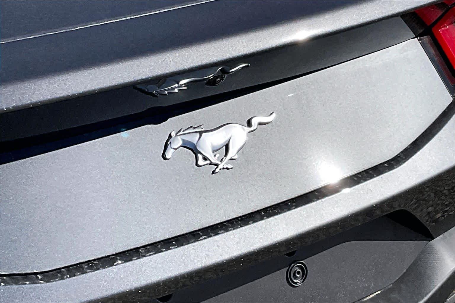 New 2026 Carbonized Gray Metallic Ford EcoBoost® Fastback image 12