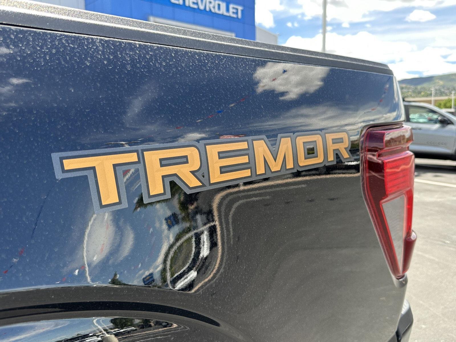 2025 Ford F-150 Tremor - Photo 21