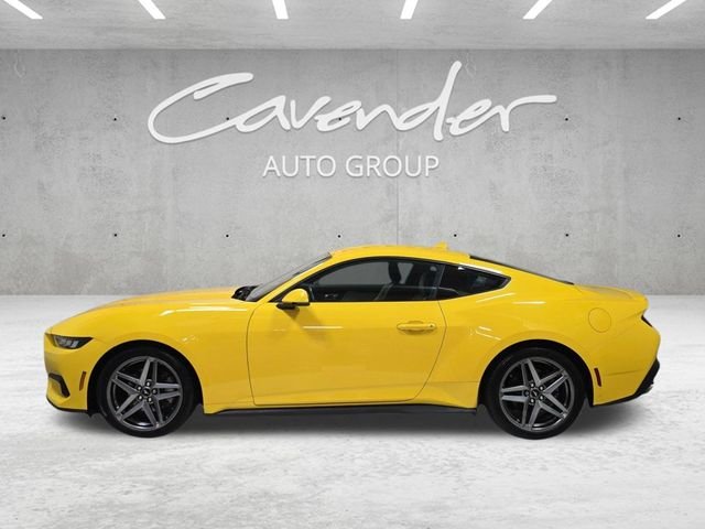 2024 Ford Mustang EcoBoost Premium - Photo 14