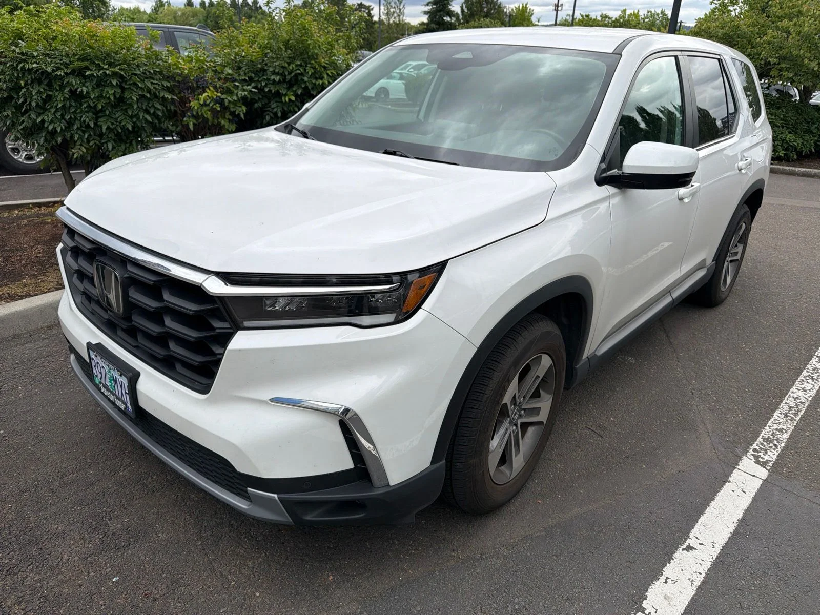 2023 Honda Pilot EX-L 7-Occupant AWD's photo