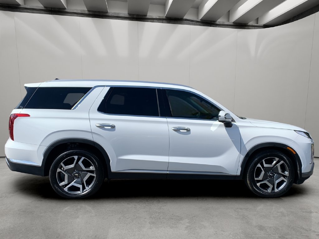 2024 Hyundai Palisade Limited - Photo 6