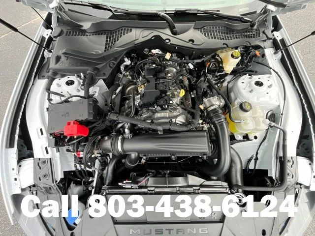 New 2026 Oxford White Ford EcoBoost® Fastback image 22