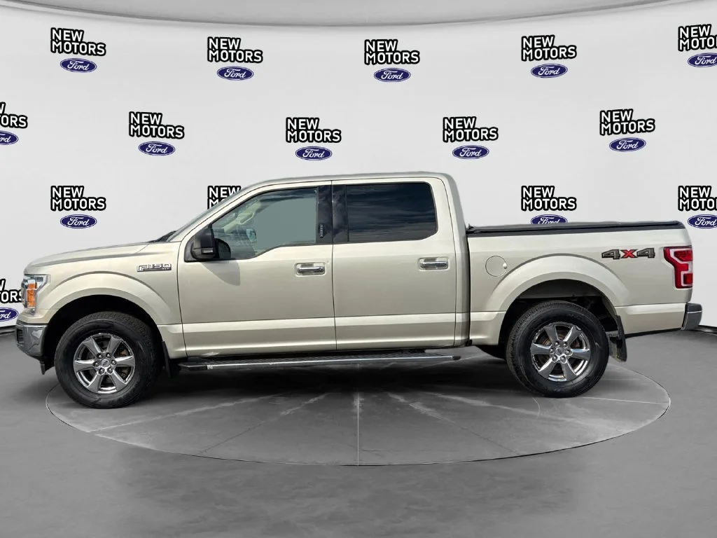 Used 2018 White Gold Ford XLT image 2