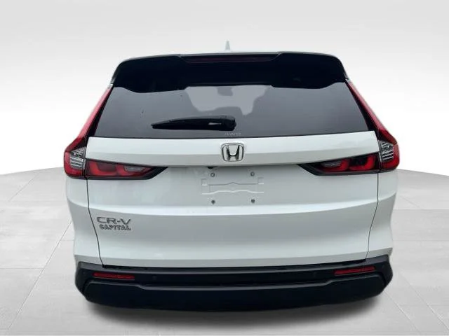 Used 2024  Honda EX-L image 6