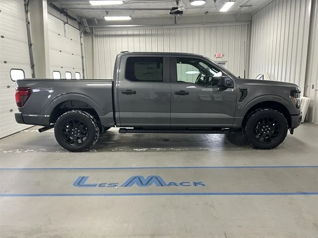 2025 Ford F-150 STX - Photo 4