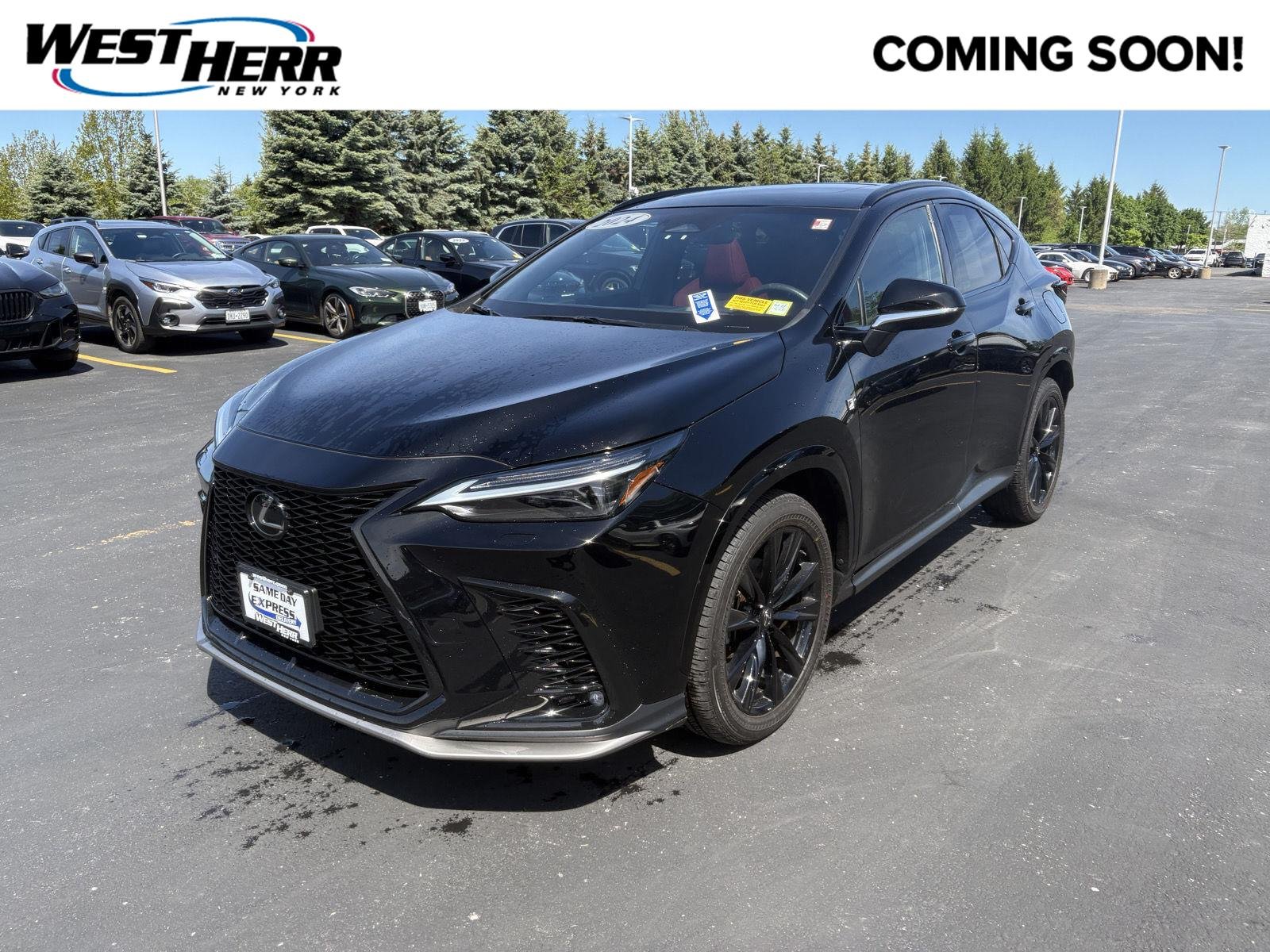 2024 Lexus NX 350 350 F-Sport AWD's photo