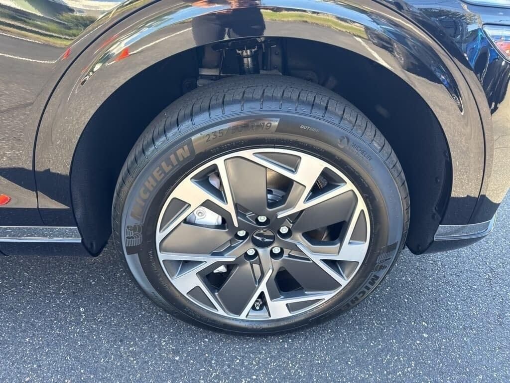 New 2026 Black Genesis STANDARD image 9