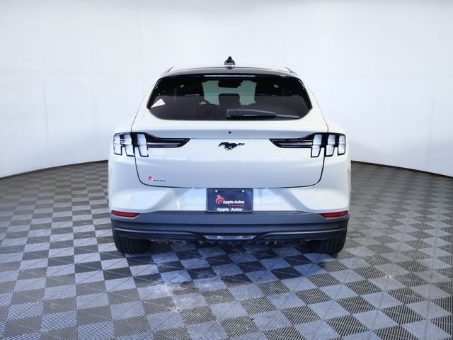 Certified Used 2025 Beige Ford Premium image 7