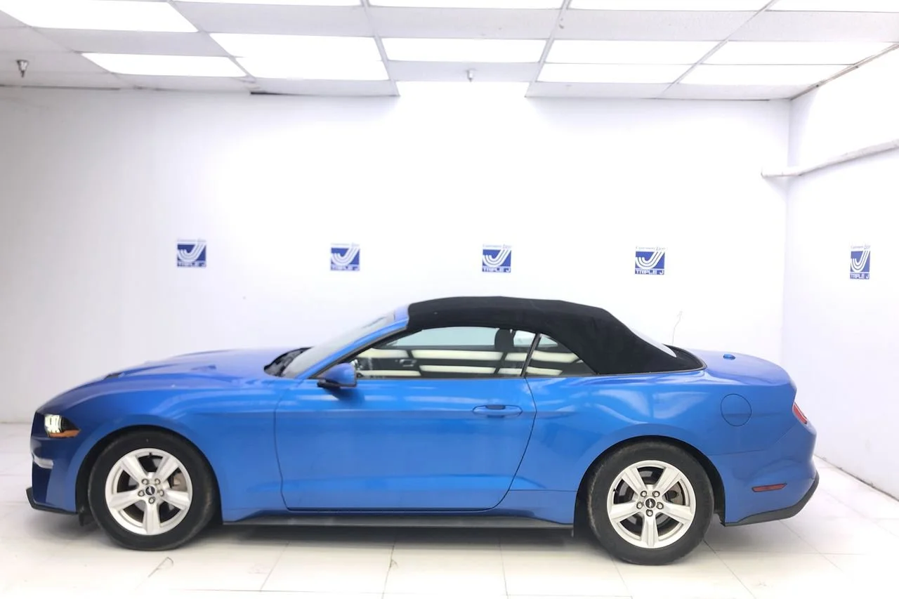 Used 2019 VELOCITY_BLUE Ford EcoBoost image 4