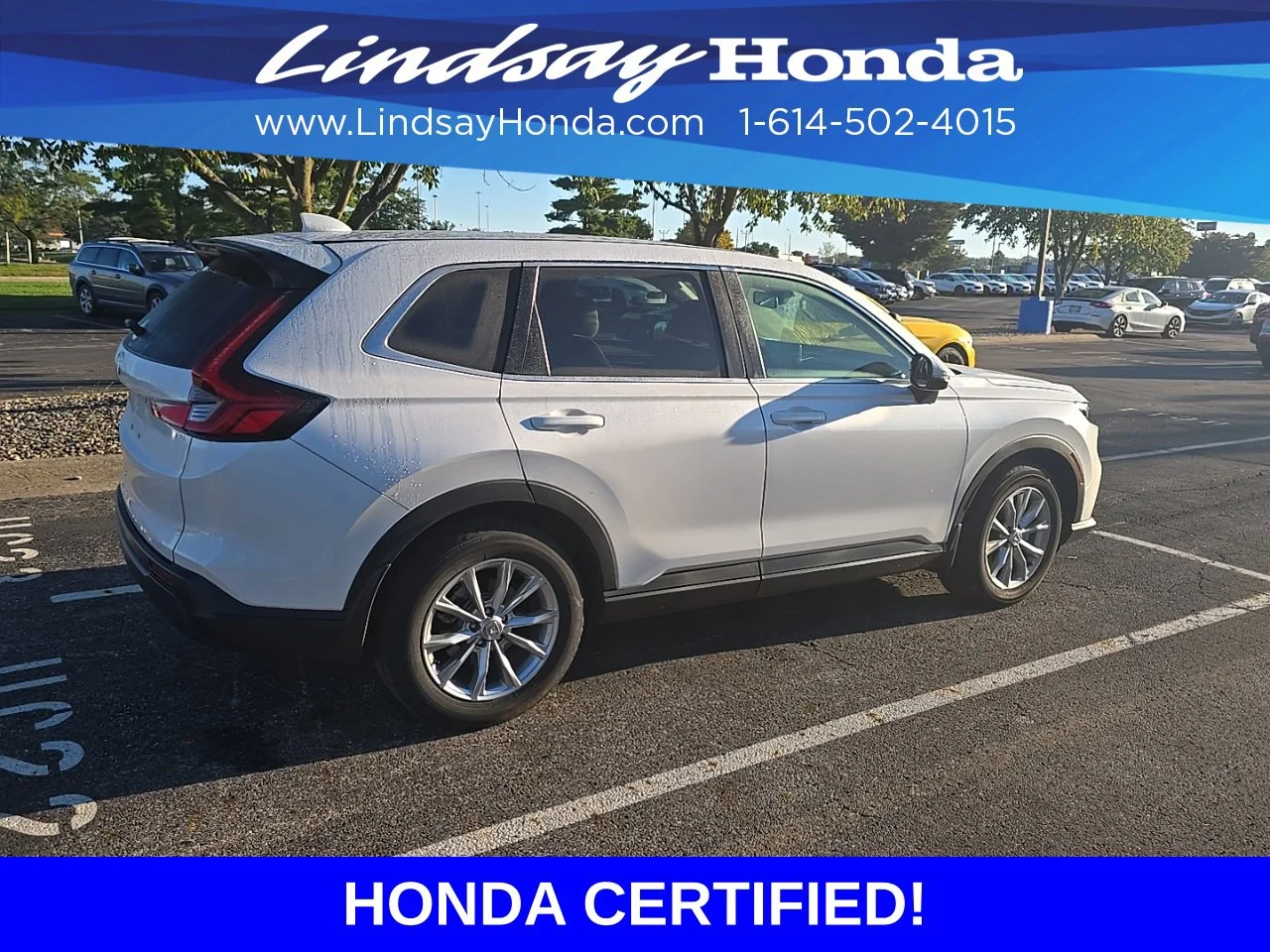 Used 2024 Platinum White Pearl Honda EX image 3
