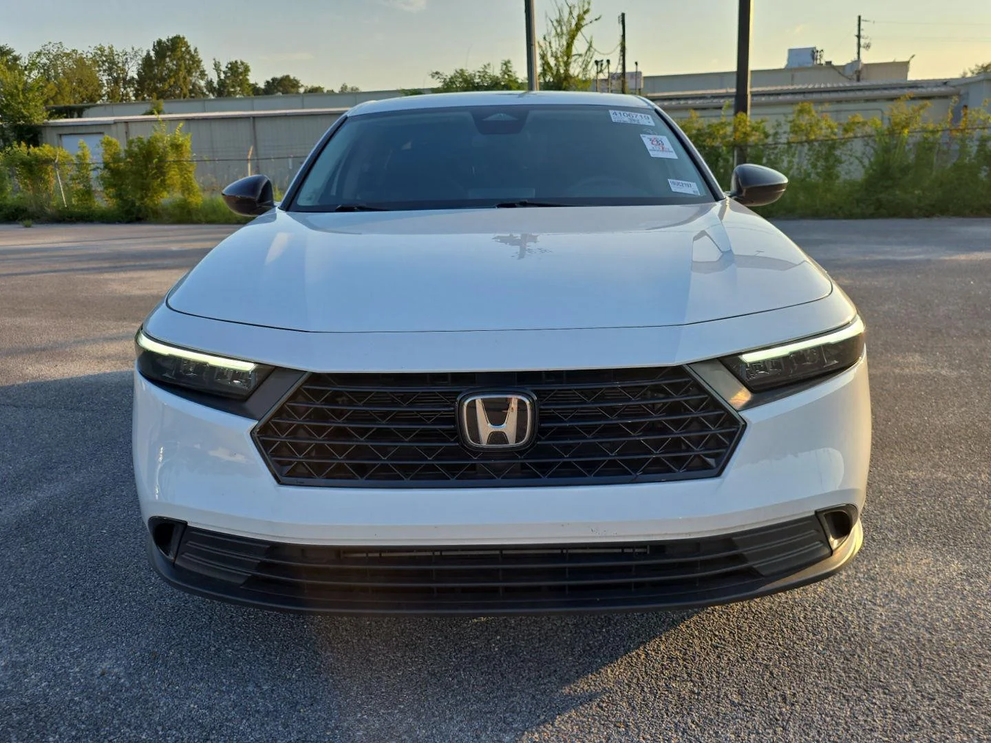 Used 2025 Platinum White Pearl Honda SE image 8