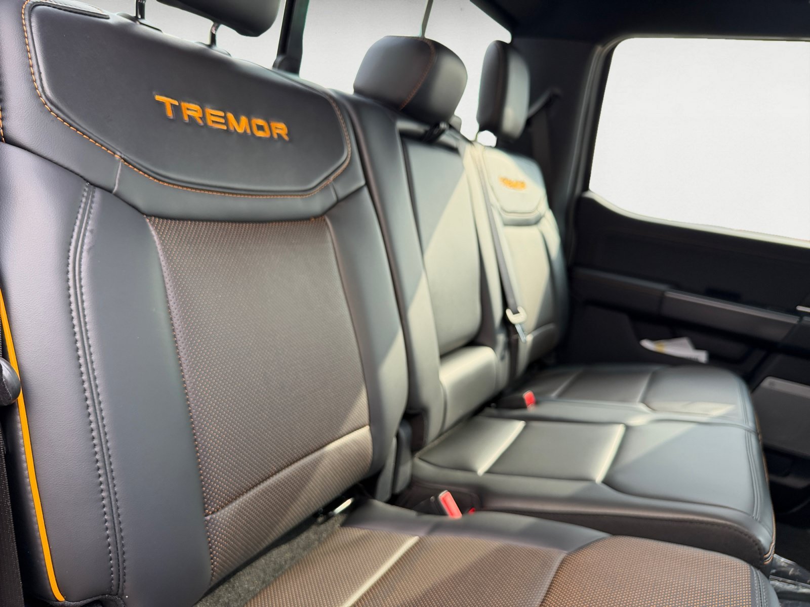 New 2026 Iconic Silver Metallic Ford Tremor image 18