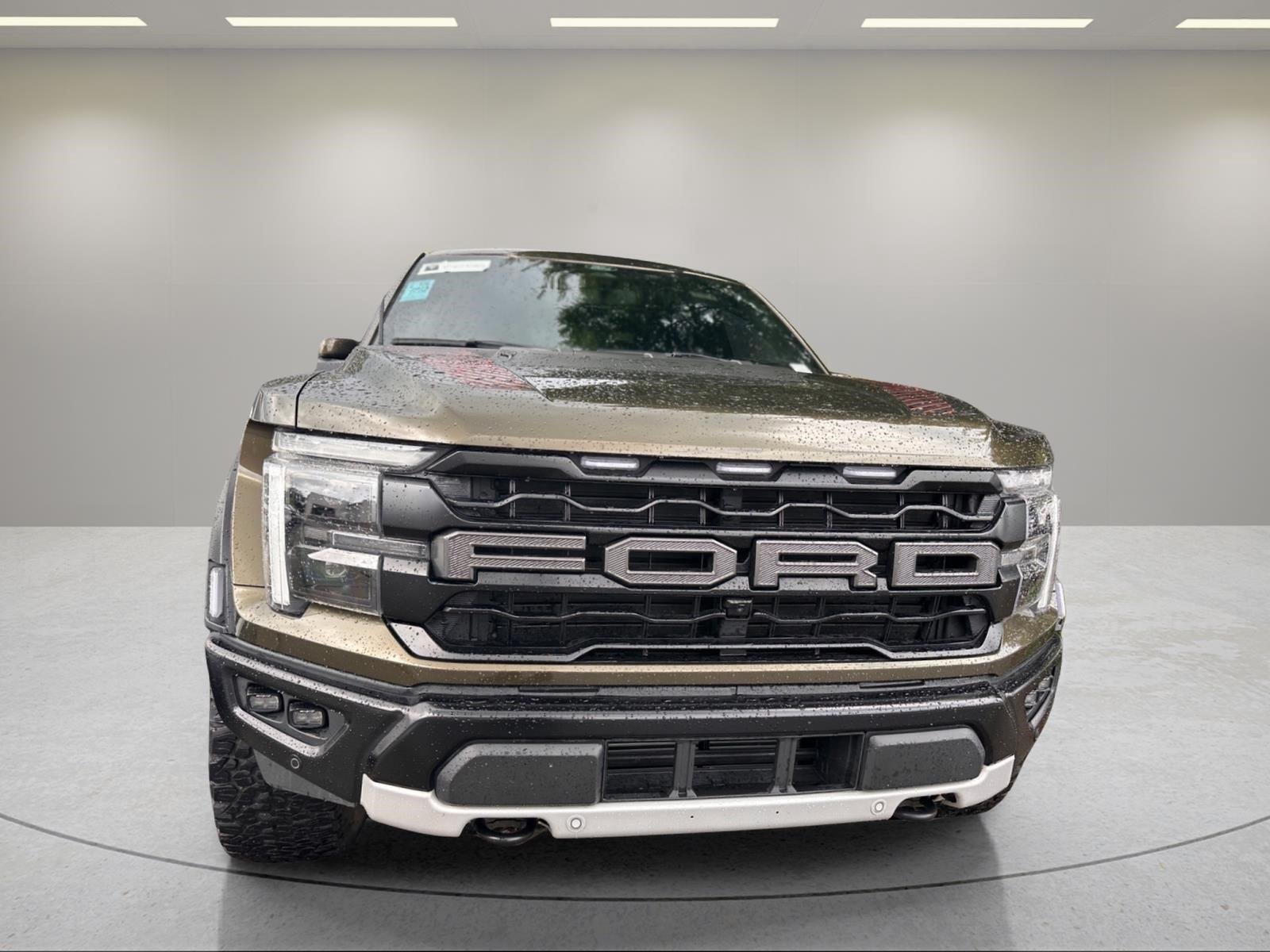 Used 2024 Shelter Green Ford Raptor image 9