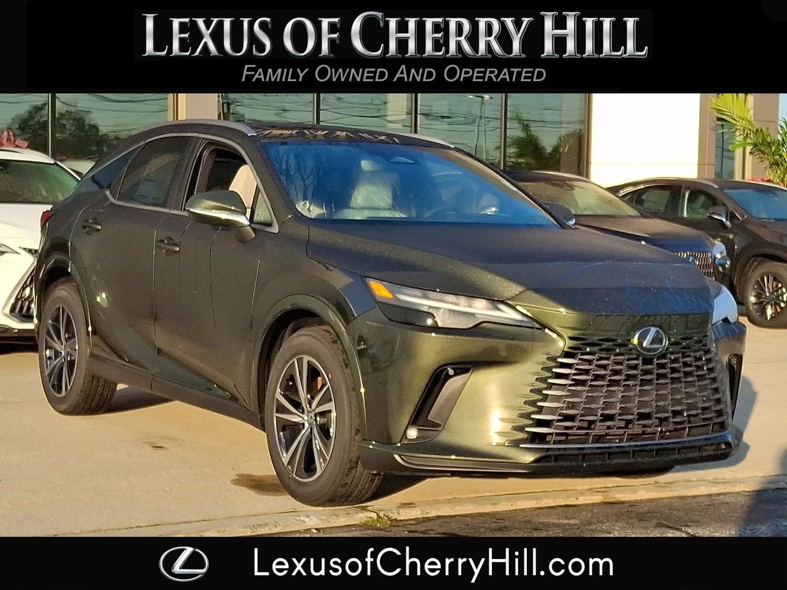 2026 Lexus RX