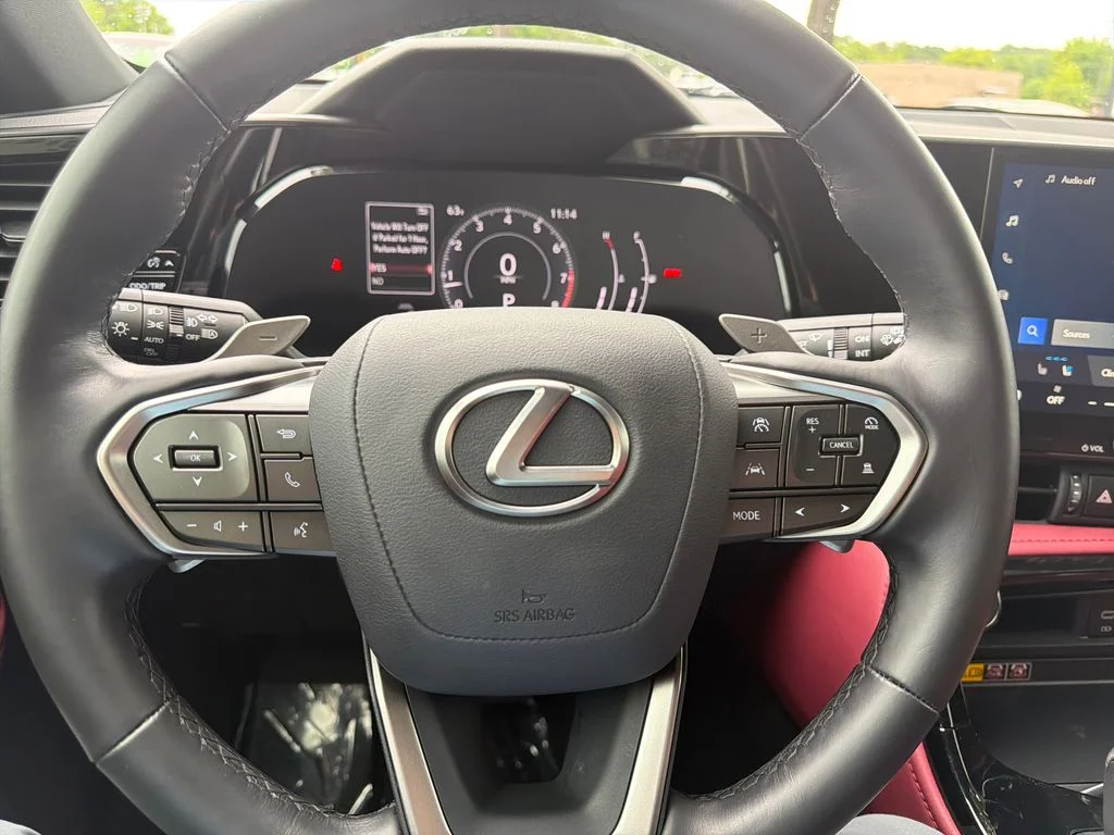 2025 Lexus NX 250 - Photo 20