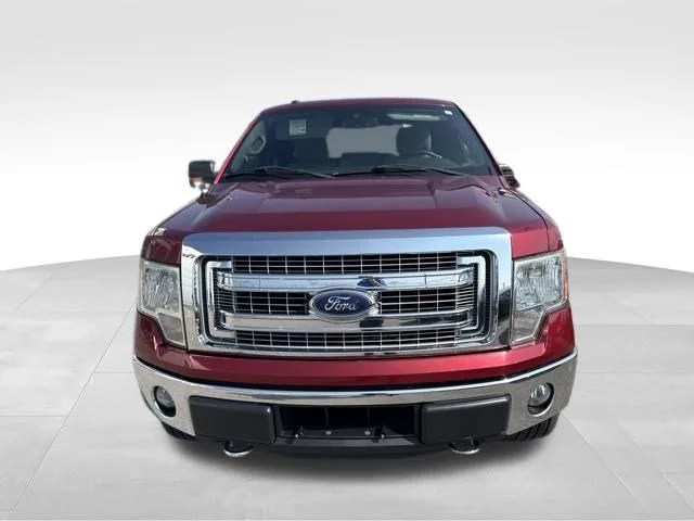 Used 2014 Red Ford XLT image 2