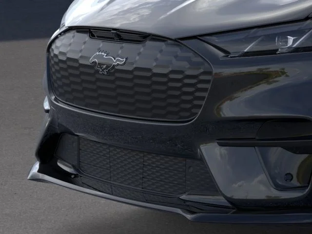 New 2026 Shadow Black Ford Premium image 17