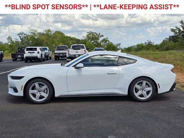 New 2026 Oxford White Ford EcoBoost® Fastback image 41