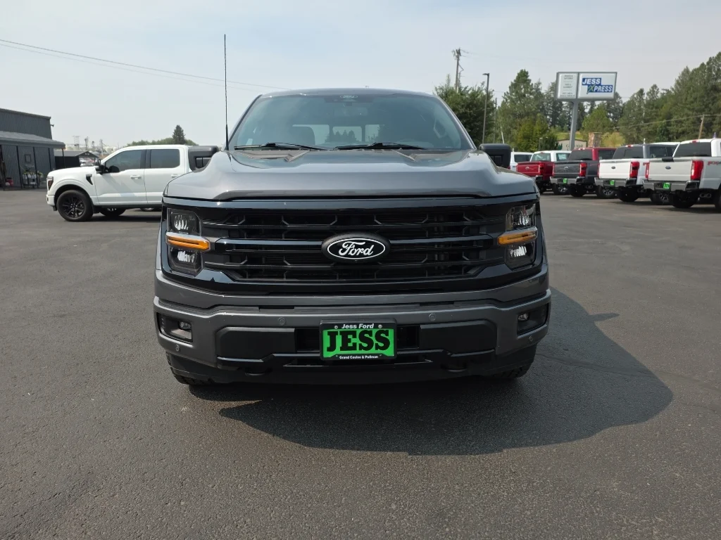 Certified Used 2025 Gray Metallic Ford XLT image 3