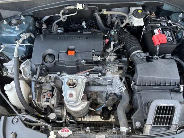 Used 2023 Green Honda Sport image 19