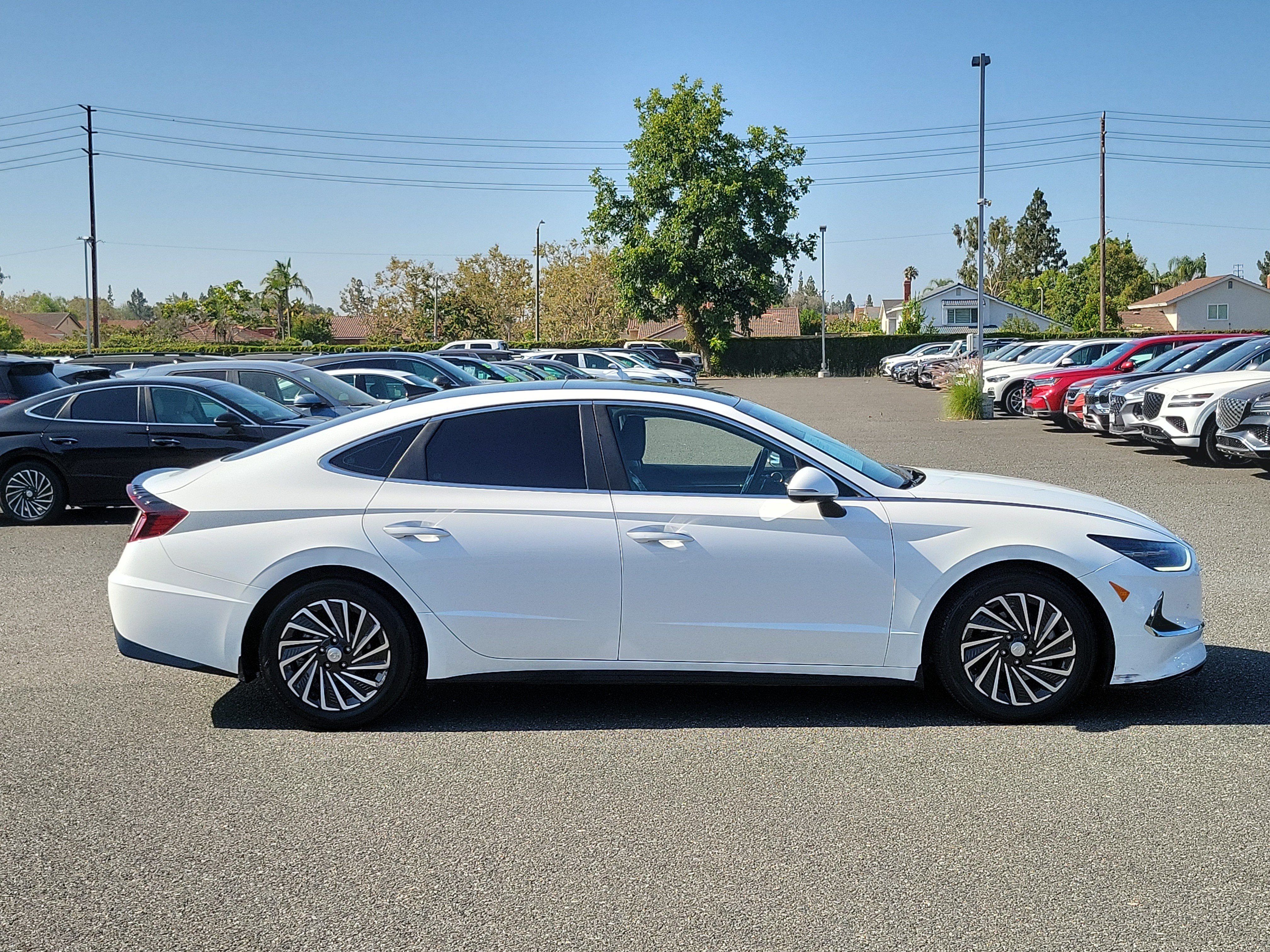 Used 2021 Hyper White Hyundai Limited image 6