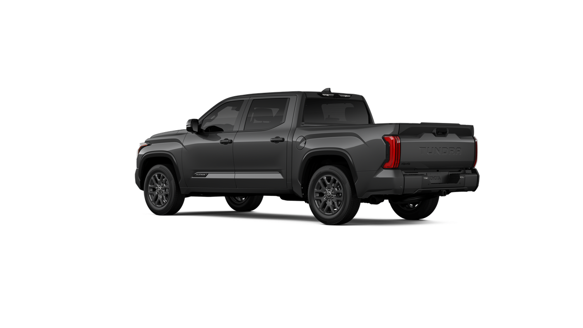 New 2026 Magnetic Gray Metallic Toyota Platinum image 36