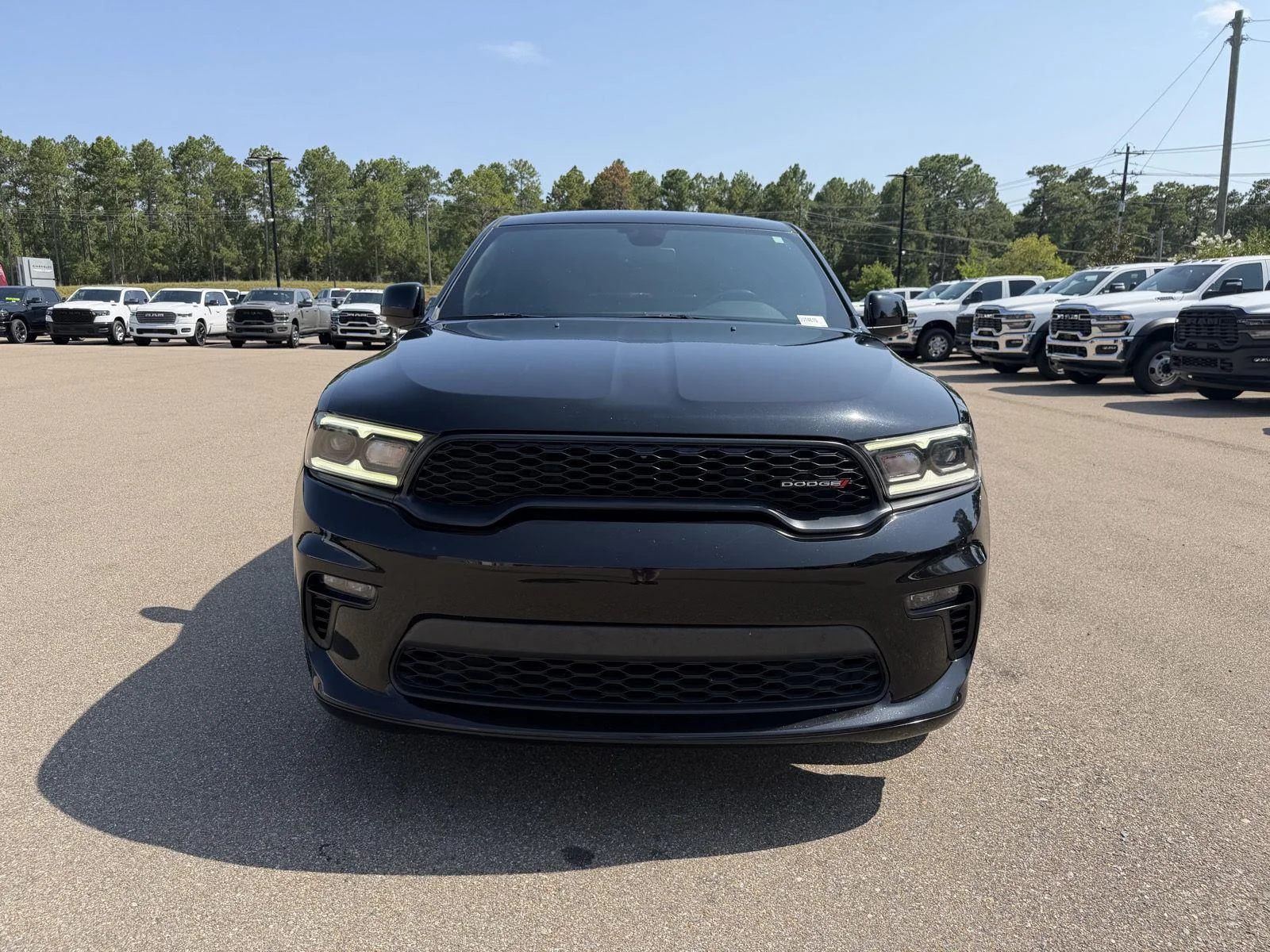Used 2021 DB Black Clearcoat Dodge GT Plus image 2