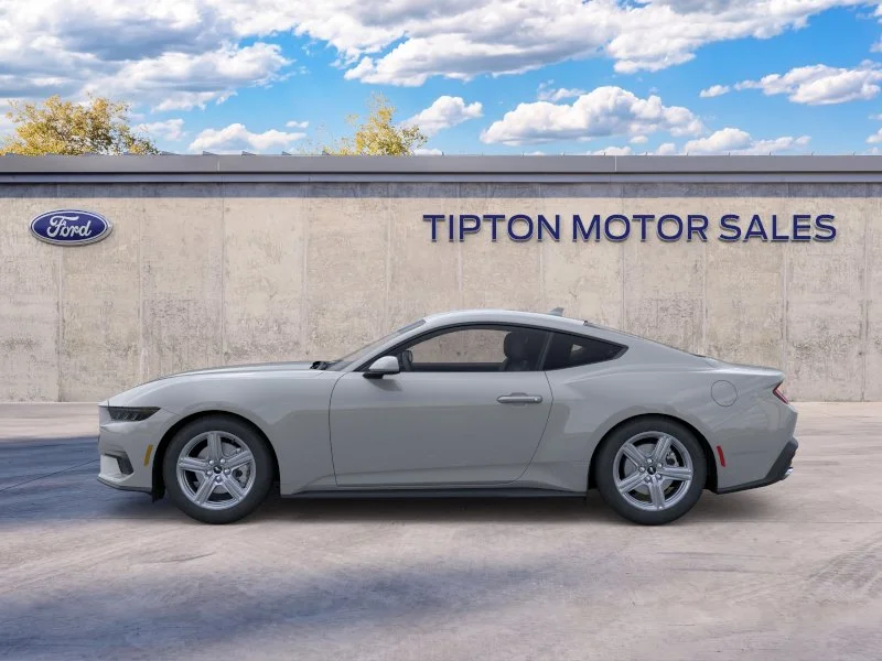 New 2026 Avalanche Gray Ford EcoBoost® Fastback image 3