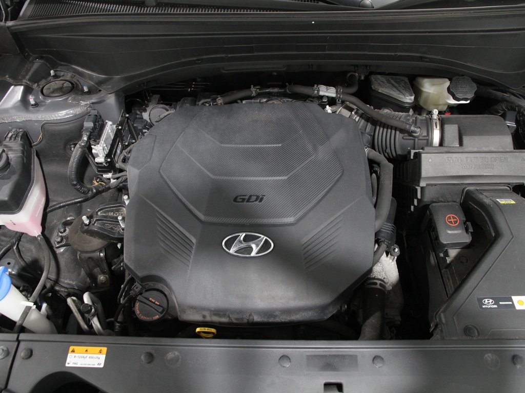 Used 2022 Rainforest Hyundai Calligraphy image 22
