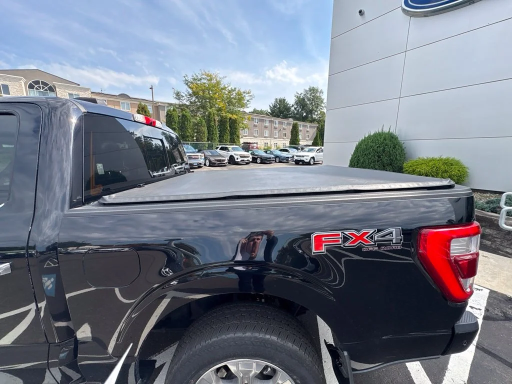 Used 2022 Black Ford Platinum image 12