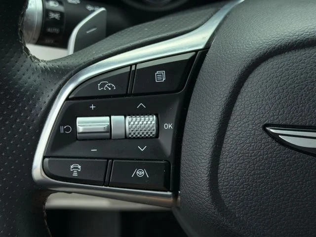 Used 2025 Gray Genesis 2.5T image 27