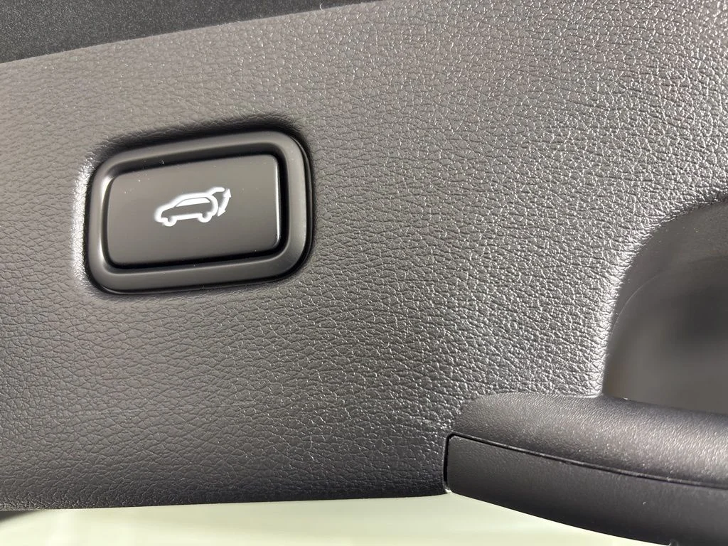 New 2026 Panthera Metal Matte Kia X-Line image 24