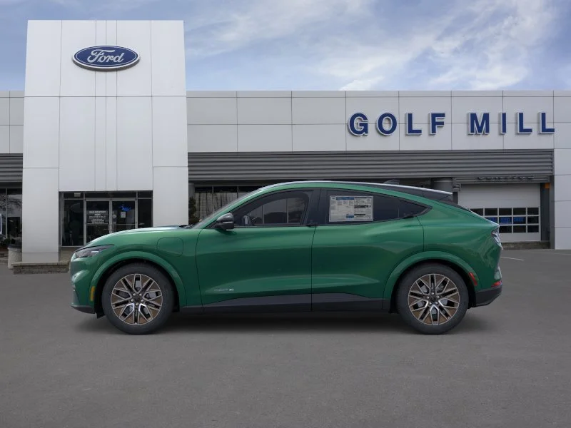 New 2026 Eruption Green Metallic Ford Premium image 2