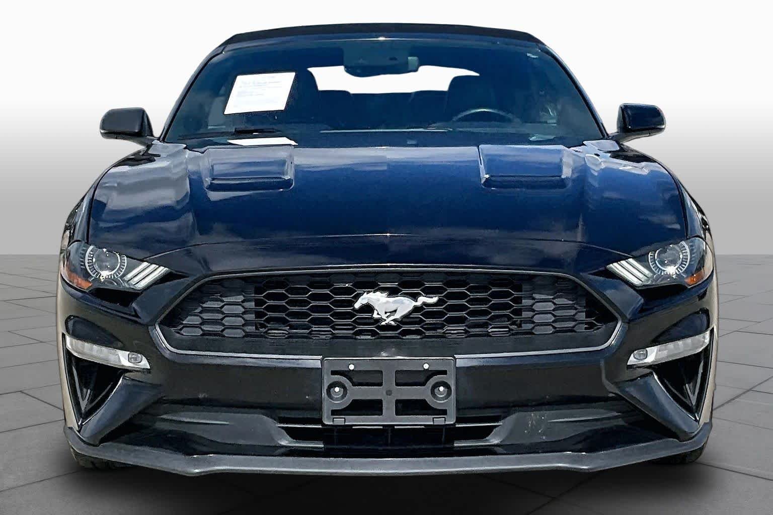 Used 2019 Shadow Black Ford EcoBoost Premium image 3