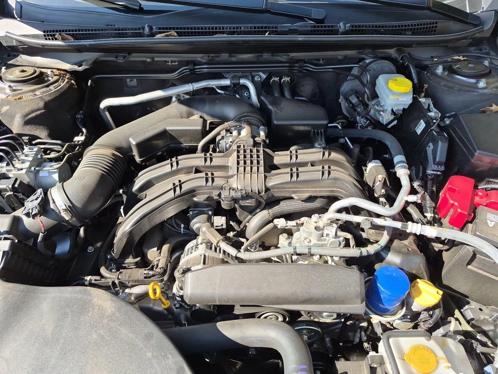 Used 2025  SUBARU TOUR image 39
