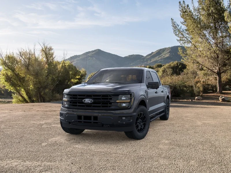 New 2025 Agate Black Metallic Ford XLT image 25